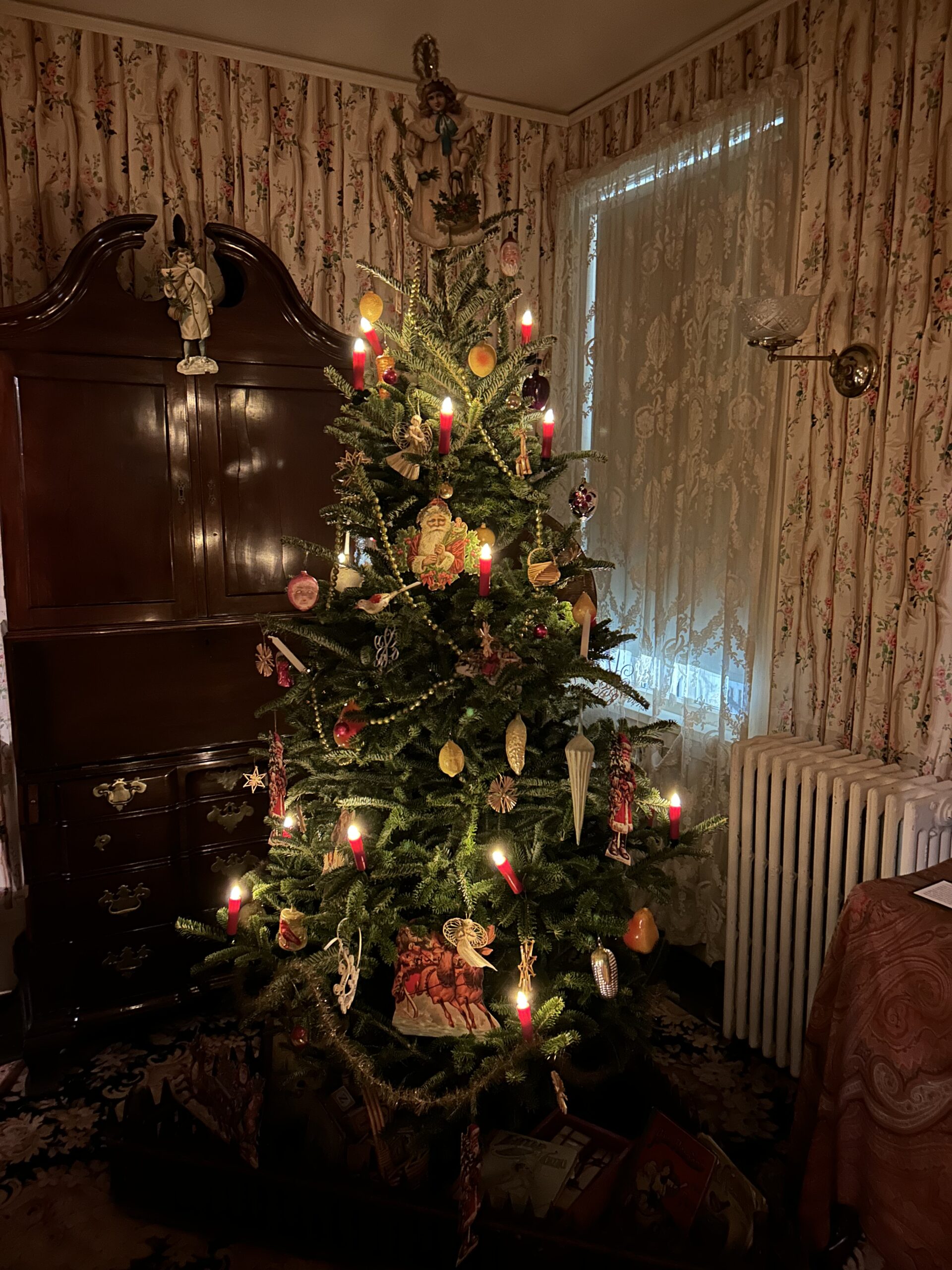 Live Tree W Lighted Battery Candles Lighting Up A Dark Room